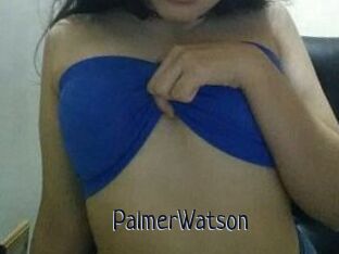 PalmerWatson