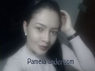 Pamela_andersom