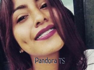 Pandora_TS