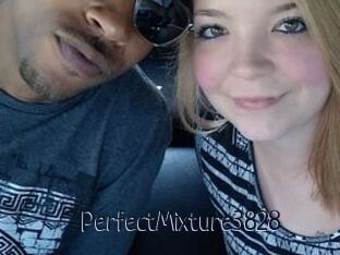 PerfectMixture3828