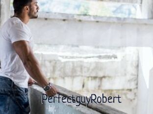 PerfectguyRobert