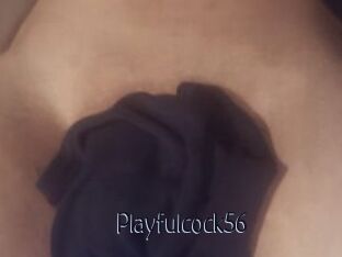 Playfulcock56