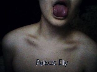 Polecat_Elly