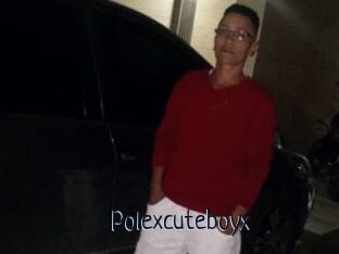 Polexcuteboyx