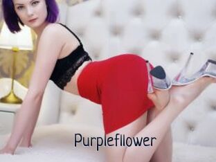 Purplefllower
