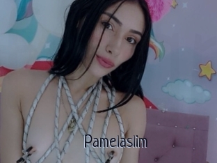 Pamelaslim