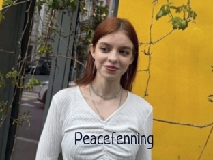 Peacefenning