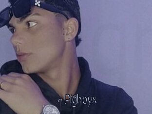 Pigboyx