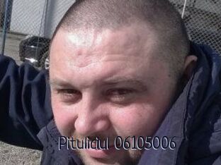 Pituliciul-06105006