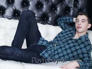 Playfulboynoi