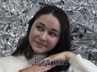 Pollybrucker