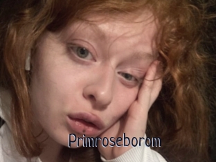 Primroseborom