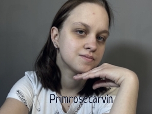 Primrosecarvin