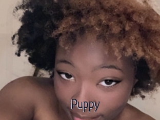 Puppy