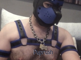 Puprush
