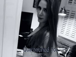 Quarantined_fox