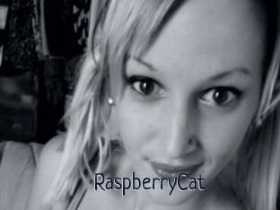 RaspberryCat