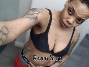 Raven_Stud