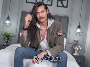 RaySullivan