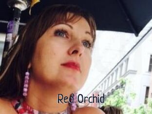 Red_Orchid