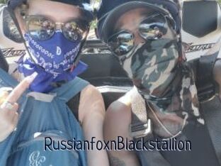 RussianfoxnBlackstallion