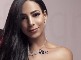 Rice