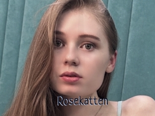 Rosekatten