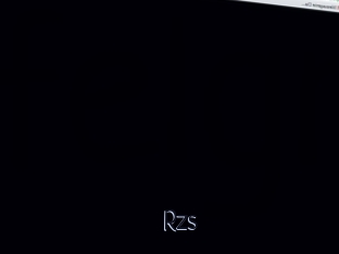Rzs