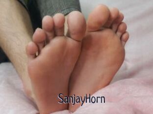 SanjayHorn