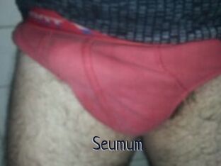 Seumum
