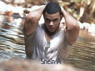 Shein_A