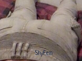 ShyFem
