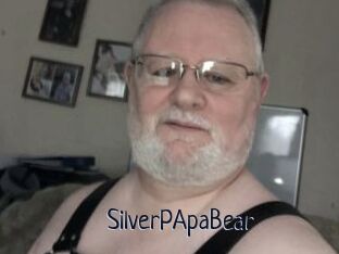 SilverPApaBear