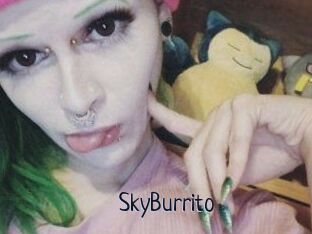 SkyBurrito
