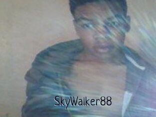 SkyWalker88