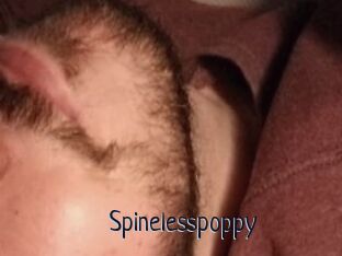 Spinelesspoppy