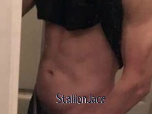StallionJace