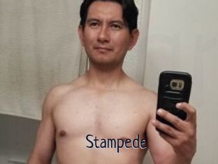 Stampede