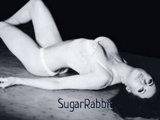SugarRabbit