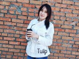Tulip