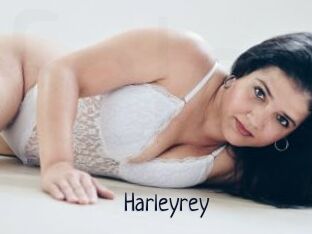 Harleyrey