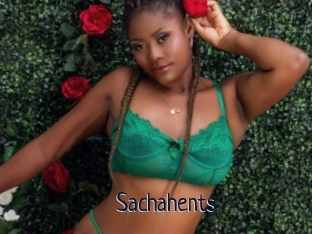 Sachahents
