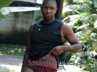 Sandrofernandes