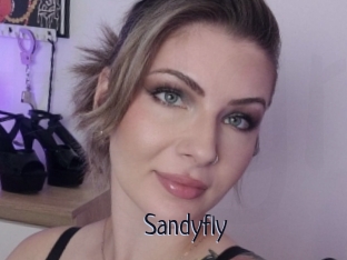 Sandyfly