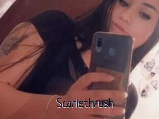 Scarlethrush