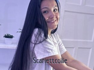 Scarlettcollie