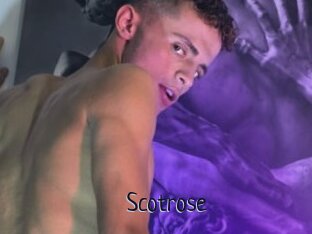 Scotrose
