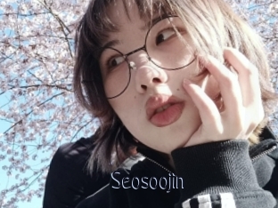 Seosoojin