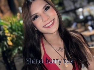 Shanel_bunny_real