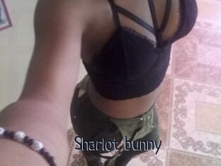 Sharlot_bunny